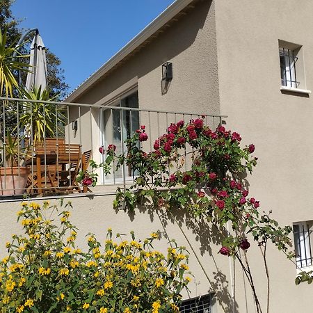 Charmante Maison Avec Jardin Aux Portes Des Gorges De L'Ardeche Saint-Julien-de-Peyrolas Exteriör bild